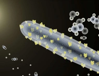 Αυτό είναι το βακτήριο της «αιώνιας νιότης»- Υπάρχει εδώ και 3.5 εκατομμύρια χρόνια (βίντεο)